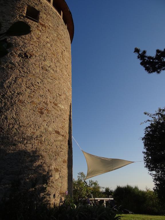 La Tour Du Moulin Geant Bed & Breakfast Rochefort-sur-Loire Exterior photo