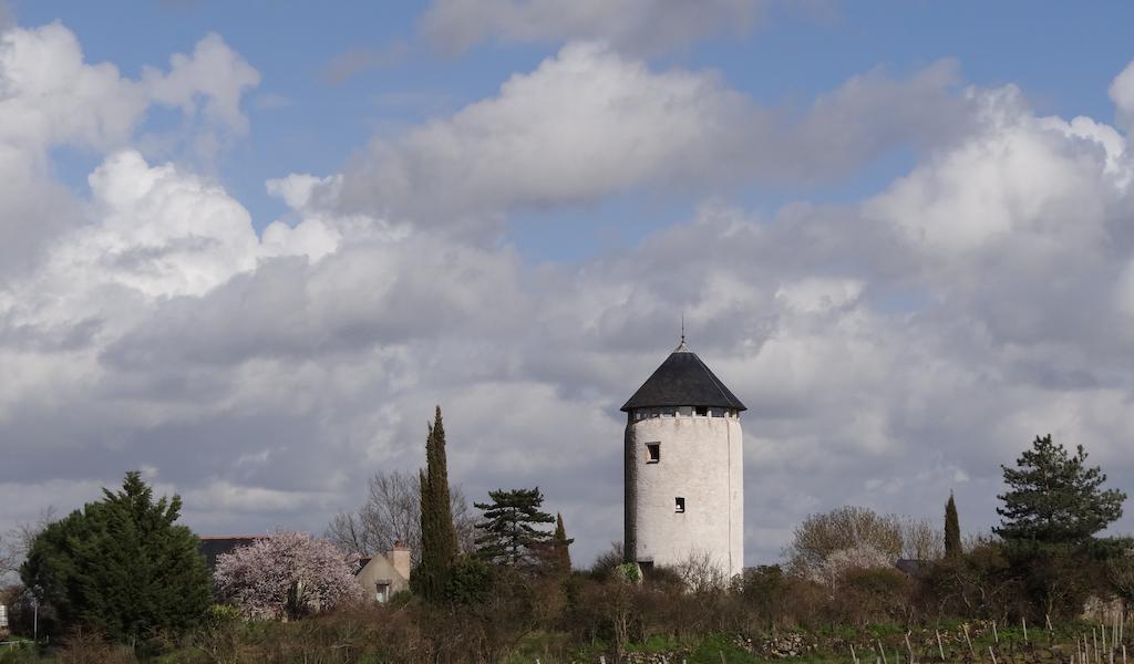 La Tour Du Moulin Geant Bed & Breakfast Rochefort-sur-Loire Exterior photo