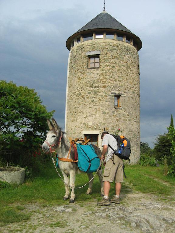 La Tour Du Moulin Geant Bed & Breakfast Rochefort-sur-Loire Exterior photo